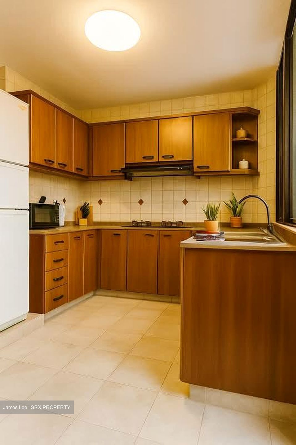 Simsville (D14), Condominium #562221061